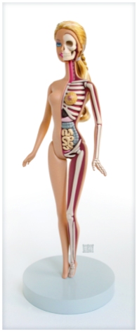barbie_anatomical_model_by_freeny-d5dazp9