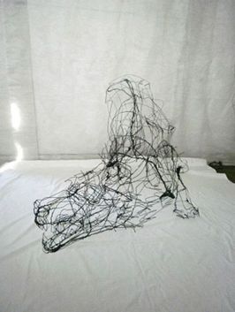 wire-sculptures-by-david-oliveira-8211-transparentcities-1352665941_b