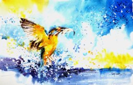speed_painting___kingfisher_by_abstractmusiq-d7guj3d