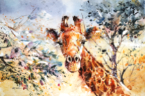 wildlife_watercolor___giraffe_by_abstractmusiq-d83v13u