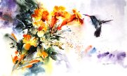 wildlife_watercolor___hummingbird_by_abstractmusiq-d8fhj2w